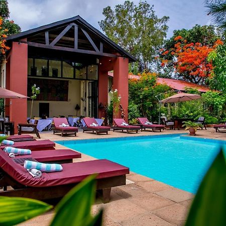 Hibiscus House Gambia Hotell Brufut Exteriör bild