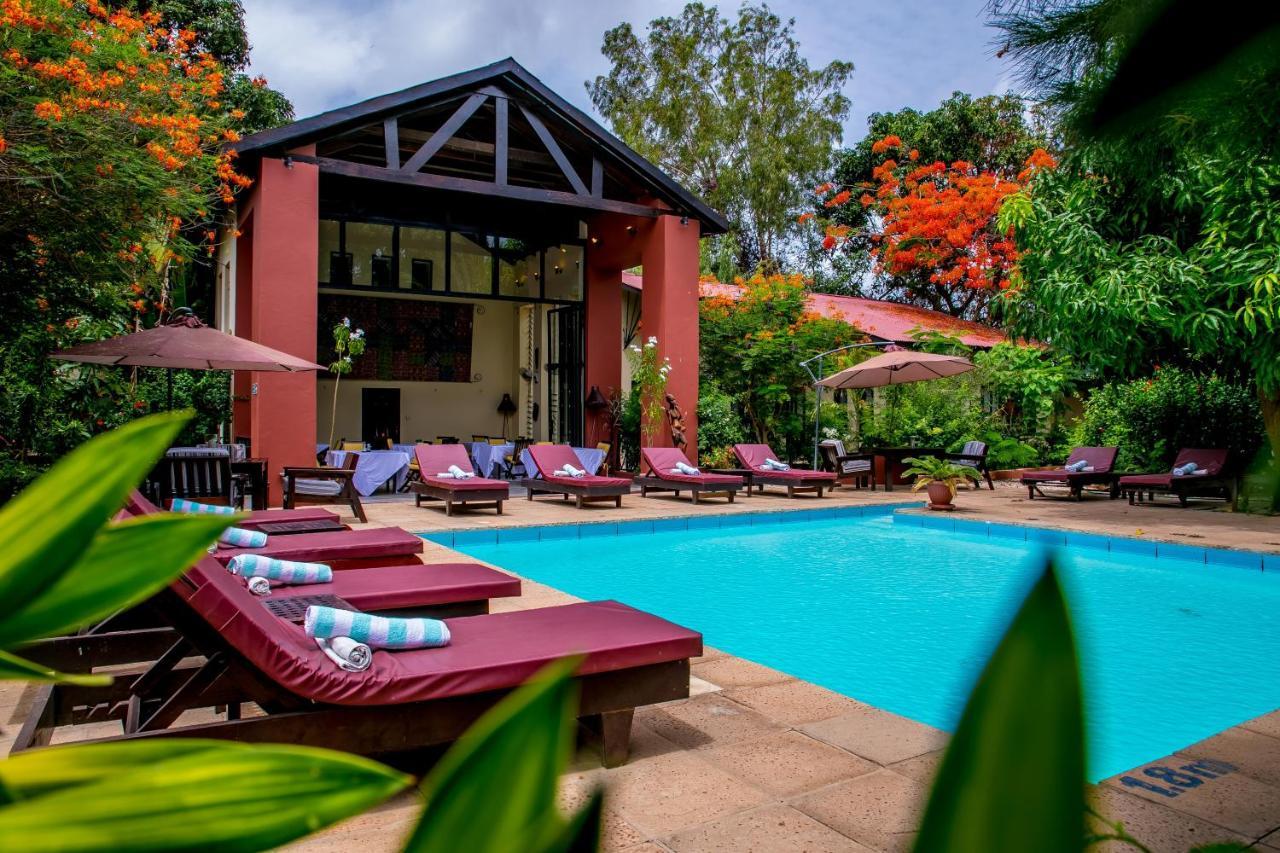 Hibiscus House Gambia Hotell Brufut Exteriör bild