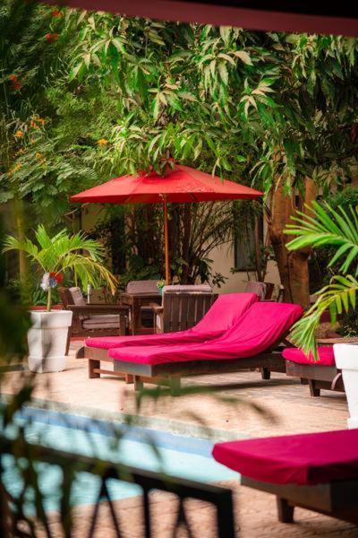 Hibiscus House Gambia Hotell Brufut Exteriör bild